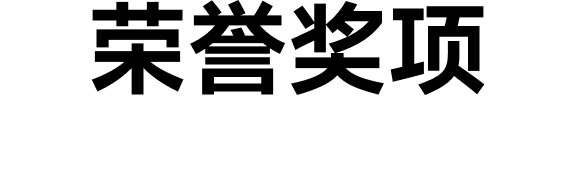 荣誉奖项 Honorary Awards